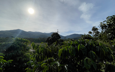 FARM